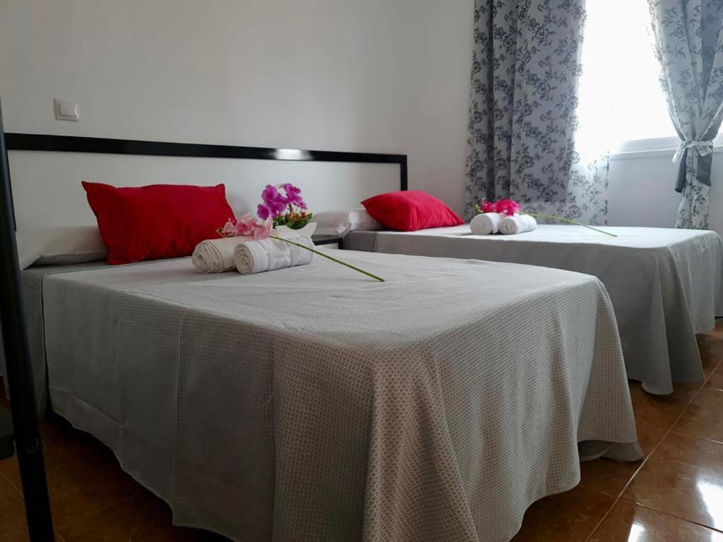 סנטה מריה Franmay Apartments - 7 Modern Apartments Near The Beach & City, Perfect For Nomads, Travellers, Families, Watersports! מראה חיצוני תמונה